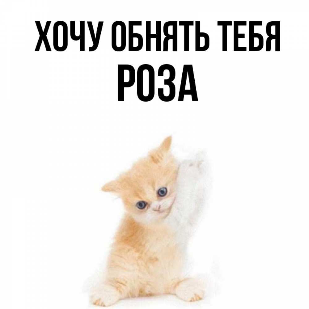 Открытка на каждый день с именем, Роза Хочу обнять тебя я хочу очень скорее обнимаешек Прикольная открытка с пожеланием онлайн скачать бесплатно 