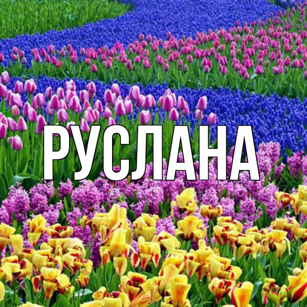 Открытка на каждый день с именем, Руслана Главная цветы Прикольная открытка с пожеланием онлайн скачать бесплатно 