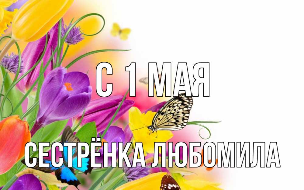Открытка на каждый день с именем, Сестрёнка-Любомила С 1 мая С 1 мая Прикольная открытка с пожеланием онлайн скачать бесплатно 