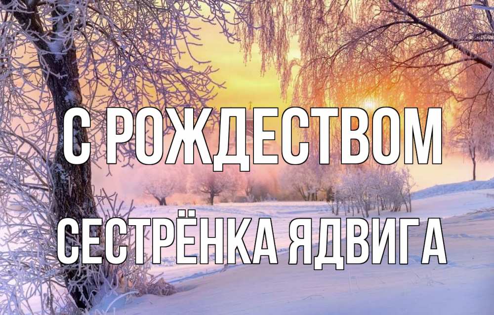 Открытка на каждый день с именем, Сестрёнка-Ядвига С рождеством рождество, лес, зима 1 Прикольная открытка с пожеланием онлайн скачать бесплатно 