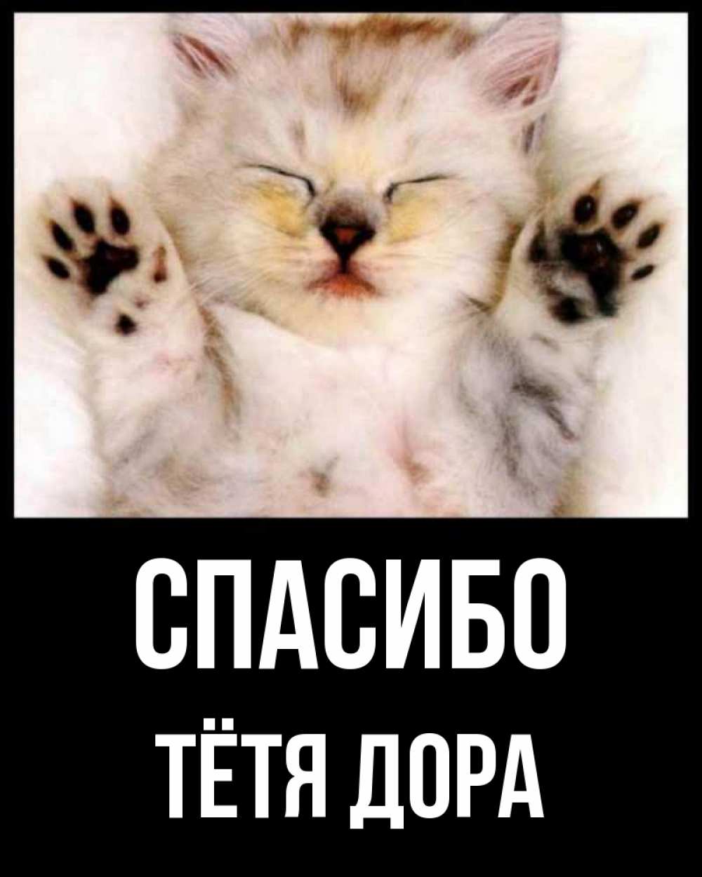 Открытка на каждый день с именем, Тётя-Дора Спасибо маленький котенок Прикольная открытка с пожеланием онлайн скачать бесплатно 