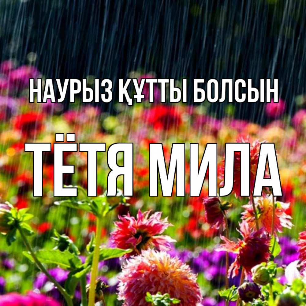 Открытка на каждый день с именем, Тётя-Мила Наурыз құтты болсын цветы под дождиком к наурызу Прикольная открытка с пожеланием онлайн скачать бесплатно 
