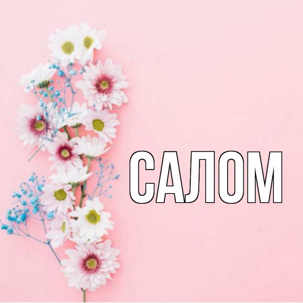 Имя салам