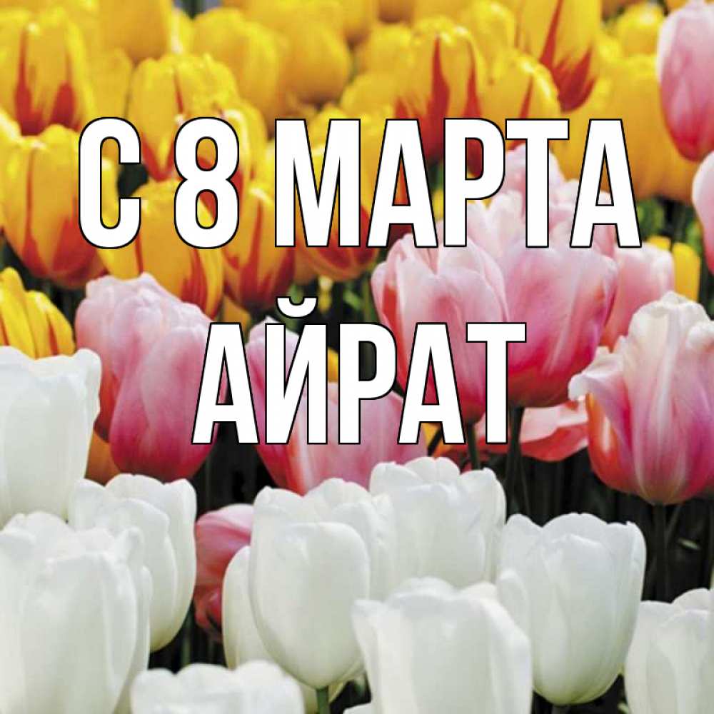 Открытка на каждый день с именем, Айрат С 8 МАРТА разноцветные цветы Прикольная открытка с пожеланием онлайн скачать бесплатно 