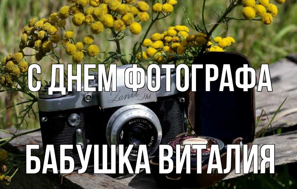 Открытка на каждый день с именем, Бабушка-Виталия С днем фотографа с днем фотографа Прикольная открытка с пожеланием онлайн скачать бесплатно 