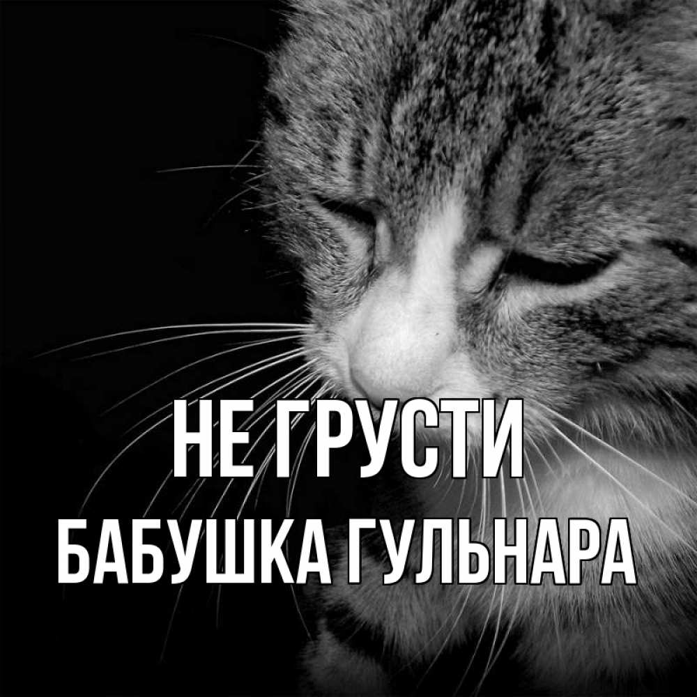 Открытка на каждый день с именем, Бабушка-Гульнара Не грусти грустный котик Прикольная открытка с пожеланием онлайн скачать бесплатно 