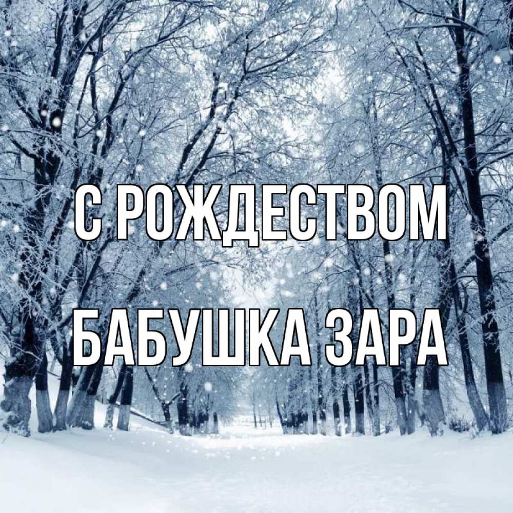 Открытка на каждый день с именем, Бабушка-Зара С рождеством снег, лес, парк Прикольная открытка с пожеланием онлайн скачать бесплатно 