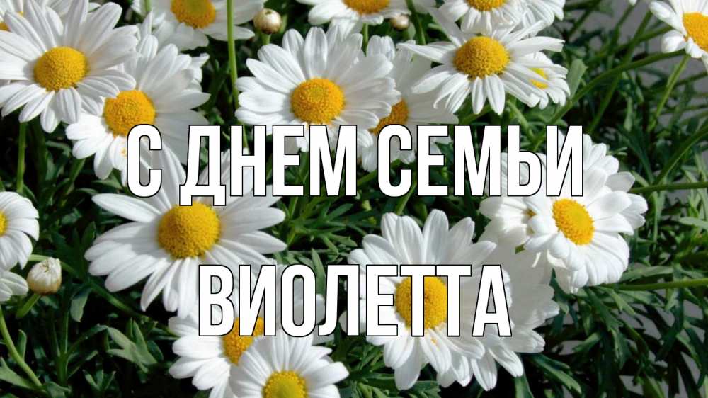 Открытка на каждый день с именем, Виолетта С днем семьи с днем семьи Прикольная открытка с пожеланием онлайн скачать бесплатно 