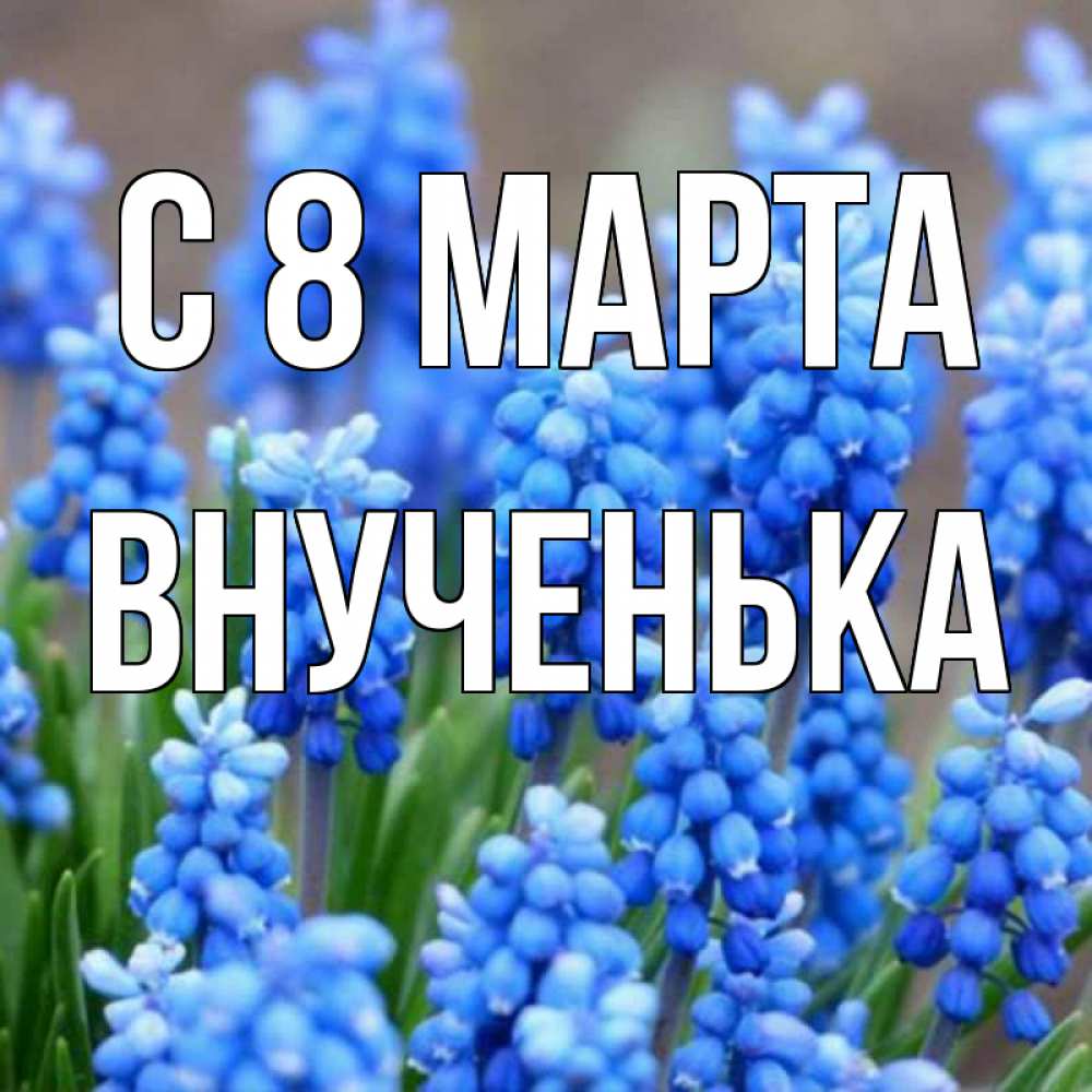 Открытка на каждый день с именем, Внученька С 8 МАРТА Поздравительная открытка для женщин с цветами на праздничную дату Прикольная открытка с пожеланием онлайн скачать бесплатно 