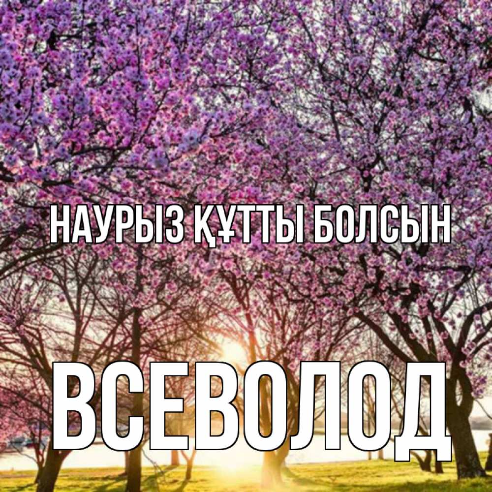 Открытка на каждый день с именем, Всеволод Наурыз құтты болсын наурыз Прикольная открытка с пожеланием онлайн скачать бесплатно 