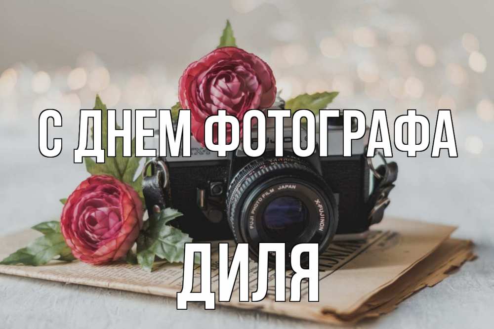 Открытка на каждый день с именем, Диля С днем фотографа с днем фотографа Прикольная открытка с пожеланием онлайн скачать бесплатно 