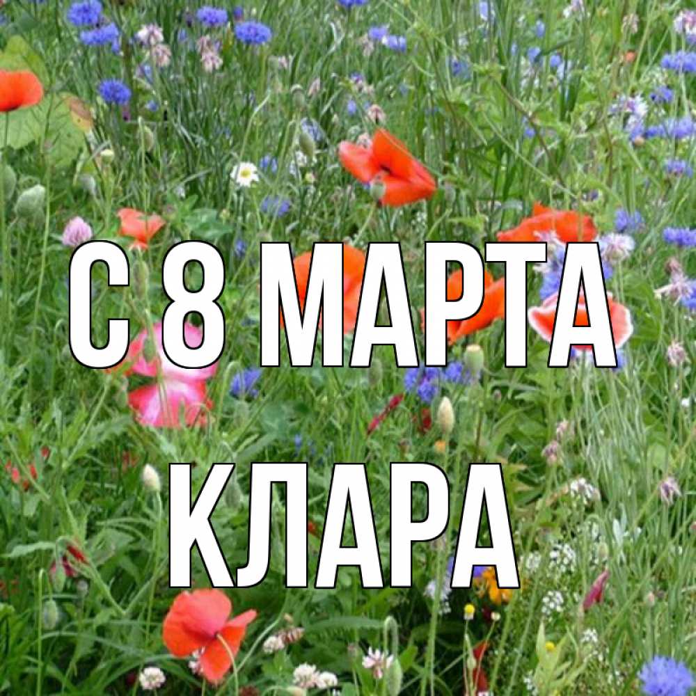Открытка на каждый день с именем, Клара С 8 МАРТА международный женский день 4 Прикольная открытка с пожеланием онлайн скачать бесплатно 