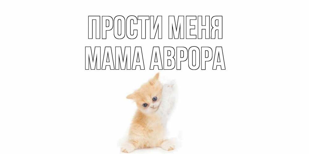 Открытка на каждый день с именем, Мама-Аврора Прости меня кот Прикольная открытка с пожеланием онлайн скачать бесплатно 