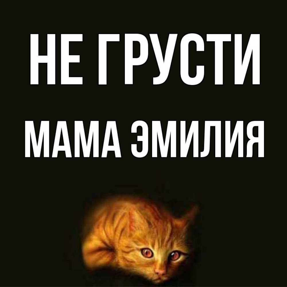 Открытка на каждый день с именем, Мама-Эмилия Не грусти лежащий кот в темноте Прикольная открытка с пожеланием онлайн скачать бесплатно 