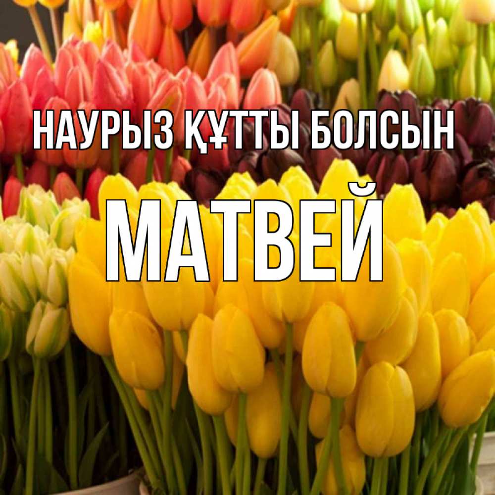Открытка на каждый день с именем, Матвей Наурыз құтты болсын цветы Прикольная открытка с пожеланием онлайн скачать бесплатно 