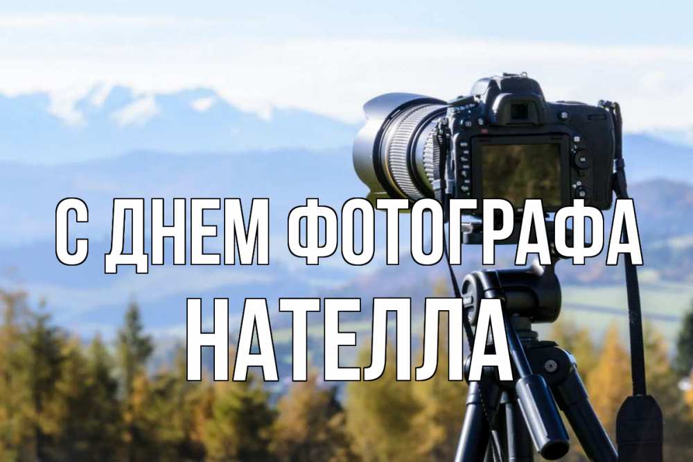 Открытка на каждый день с именем, Нателла С днем фотографа с днем фотографа Прикольная открытка с пожеланием онлайн скачать бесплатно 