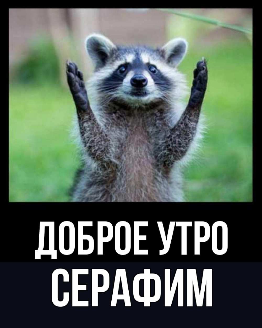 Открытка на каждый день с именем, Серафим Доброе утро хорошее настроение утречком Прикольная открытка с пожеланием онлайн скачать бесплатно 