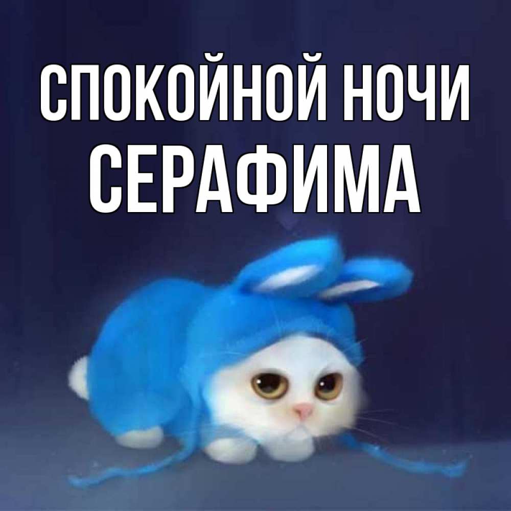 Открытка на каждый день с именем, Серафима Спокойной ночи кот в голубом костюме кролика с ушками Прикольная открытка с пожеланием онлайн скачать бесплатно 
