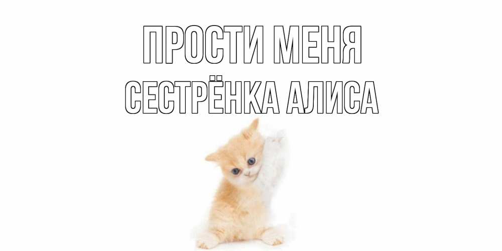 Открытка на каждый день с именем, Сестрёнка-Алиса Прости меня кот Прикольная открытка с пожеланием онлайн скачать бесплатно 