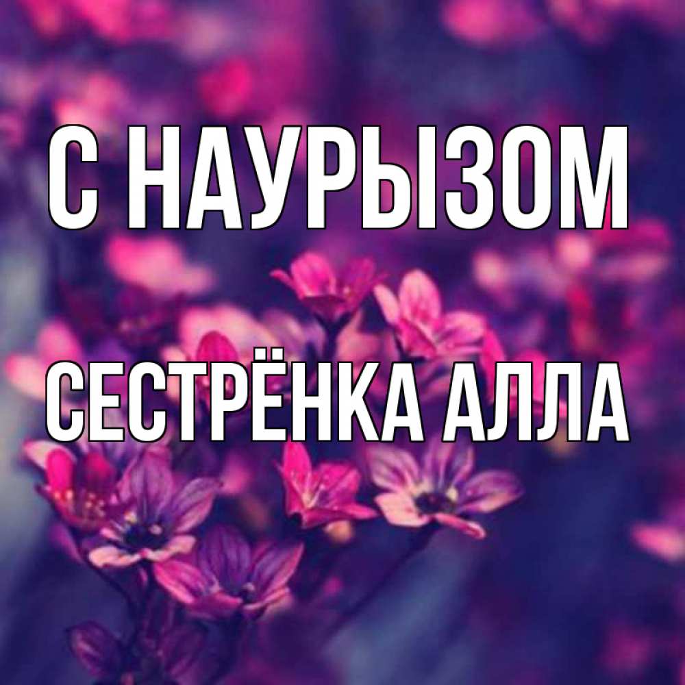 Открытка на каждый день с именем, Сестрёнка-Алла С наурызом небольшие цветы 1 Прикольная открытка с пожеланием онлайн скачать бесплатно 