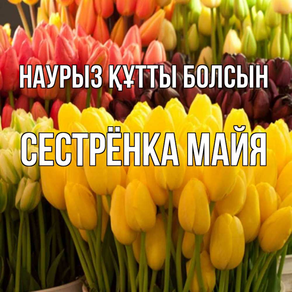 Открытка на каждый день с именем, Сестрёнка-Майя Наурыз құтты болсын цветы Прикольная открытка с пожеланием онлайн скачать бесплатно 