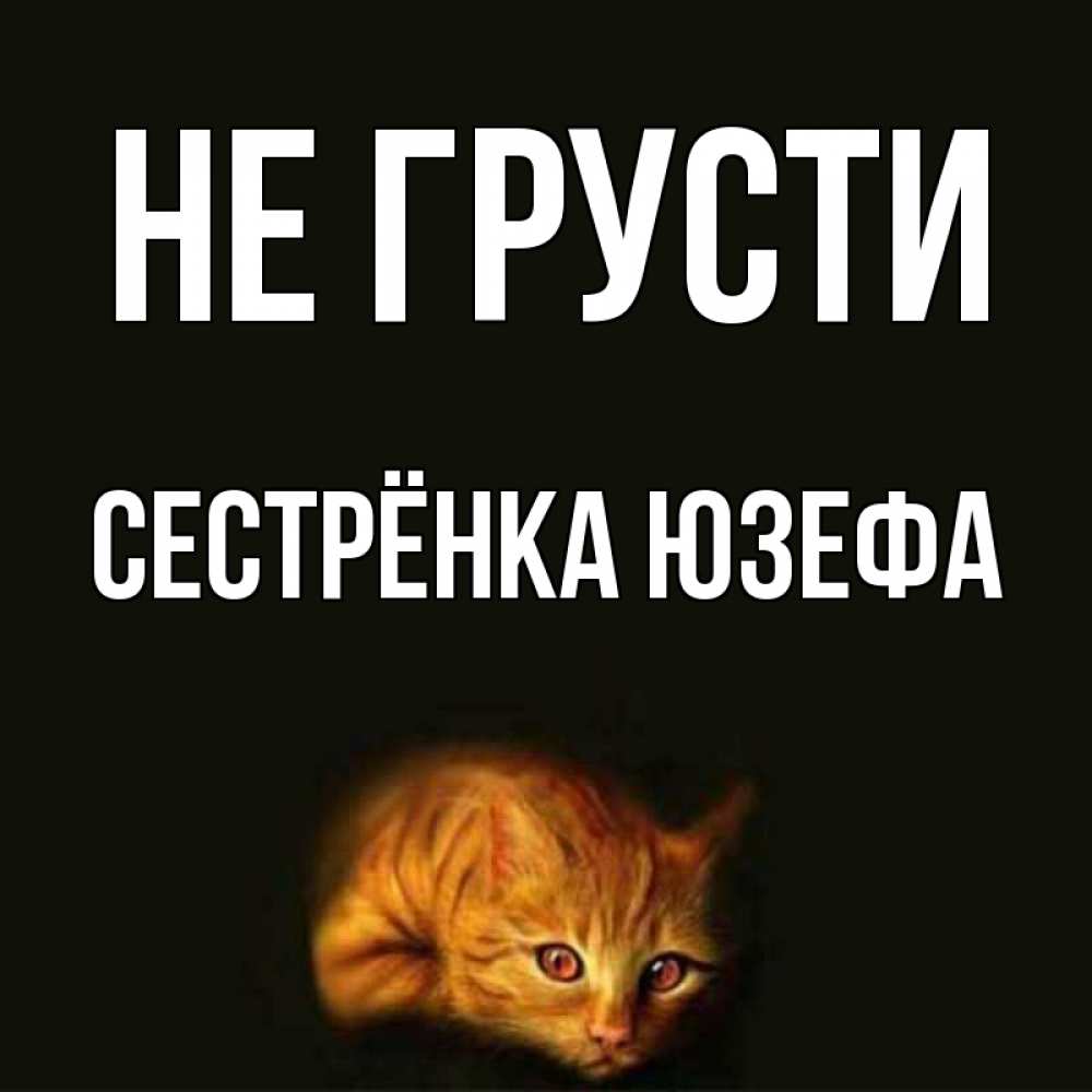 Открытка на каждый день с именем, Сестрёнка-Юзефа Не грусти лежащий кот в темноте Прикольная открытка с пожеланием онлайн скачать бесплатно 