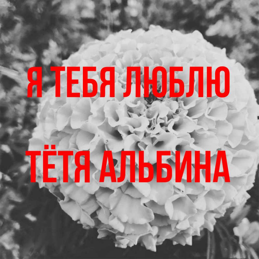 Открытка на каждый день с именем, Тётя-Альбина Я тебя люблю подпись Прикольная открытка с пожеланием онлайн скачать бесплатно 