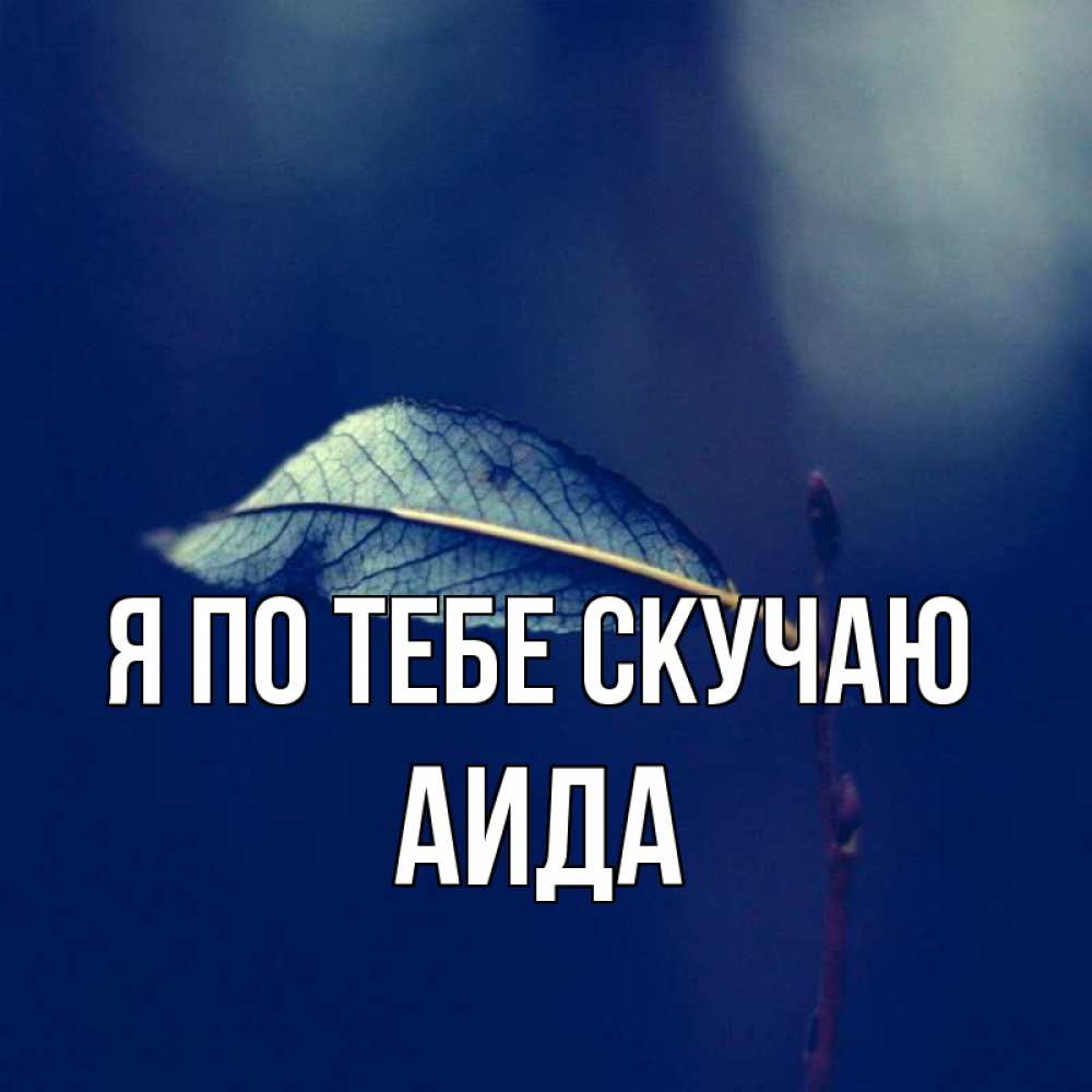Открытка на каждый день с именем, Аида Я по тебе скучаю одна ветка 1 Прикольная открытка с пожеланием онлайн скачать бесплатно 