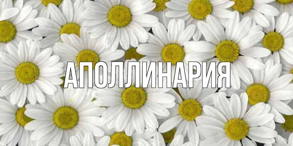 Открытка на каждый день с именем, Аполлинария Главная поляна ромашек Прикольная открытка с пожеланием онлайн скачать бесплатно 