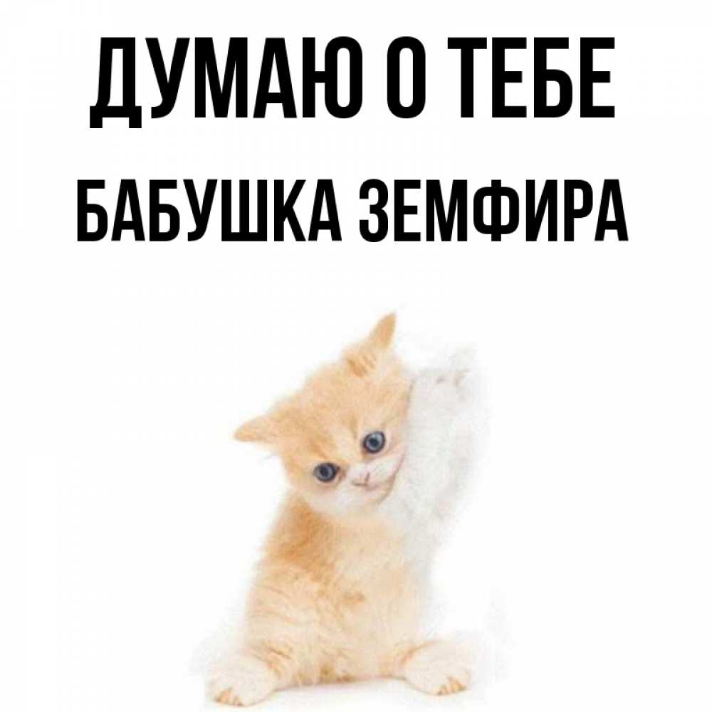 Открытка на каждый день с именем, Бабушка-Земфира Думаю о тебе зверушки и милота Прикольная открытка с пожеланием онлайн скачать бесплатно 