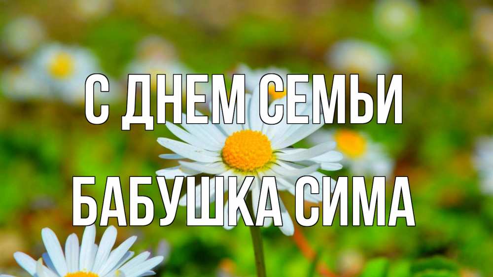 Открытка на каждый день с именем, Бабушка-Сима С днем семьи с днем семьи Прикольная открытка с пожеланием онлайн скачать бесплатно 
