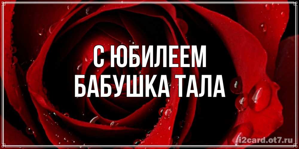 Открытка на каждый день с именем, Бабушка-Тала С юбилеем крупная бордовая роза Прикольная открытка с пожеланием онлайн скачать бесплатно 