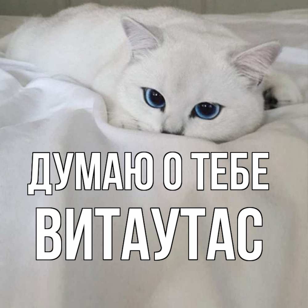 Открытка на каждый день с именем, Витаутас Думаю о тебе я очень по тебе скучаю и тоскую Прикольная открытка с пожеланием онлайн скачать бесплатно 