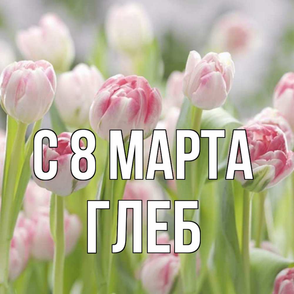 Открытка на каждый день с именем, Глеб С 8 МАРТА цветы Прикольная открытка с пожеланием онлайн скачать бесплатно 