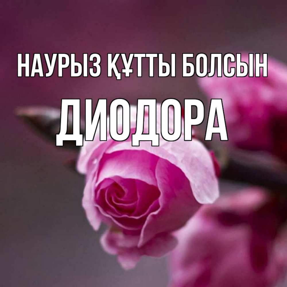Открытка на каждый день с именем, Диодора Наурыз құтты болсын весна Прикольная открытка с пожеланием онлайн скачать бесплатно 