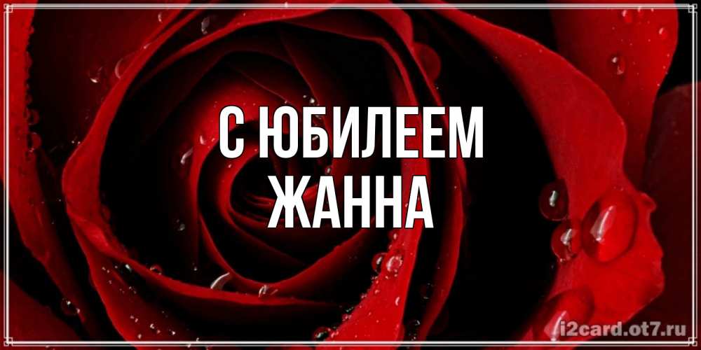 Открытка на каждый день с именем, Жанна С юбилеем крупная бордовая роза Прикольная открытка с пожеланием онлайн скачать бесплатно 