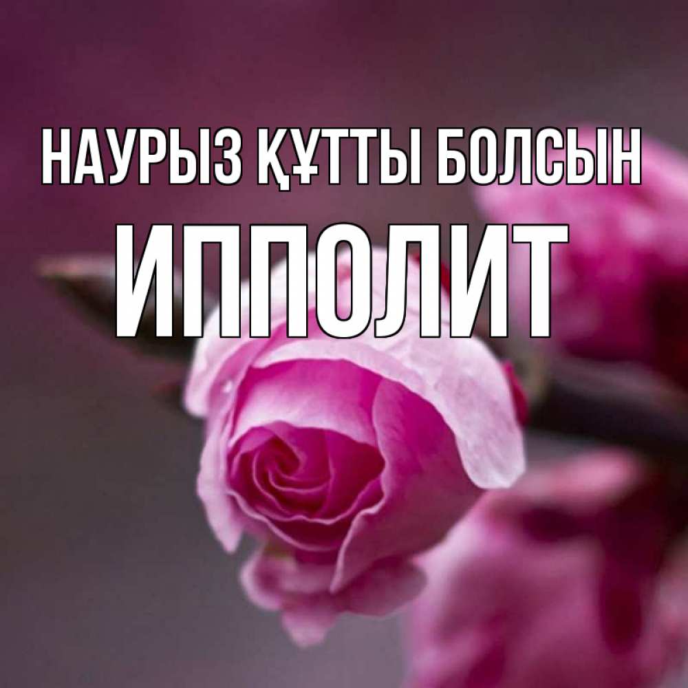 Открытка на каждый день с именем, Ипполит Наурыз құтты болсын весна Прикольная открытка с пожеланием онлайн скачать бесплатно 