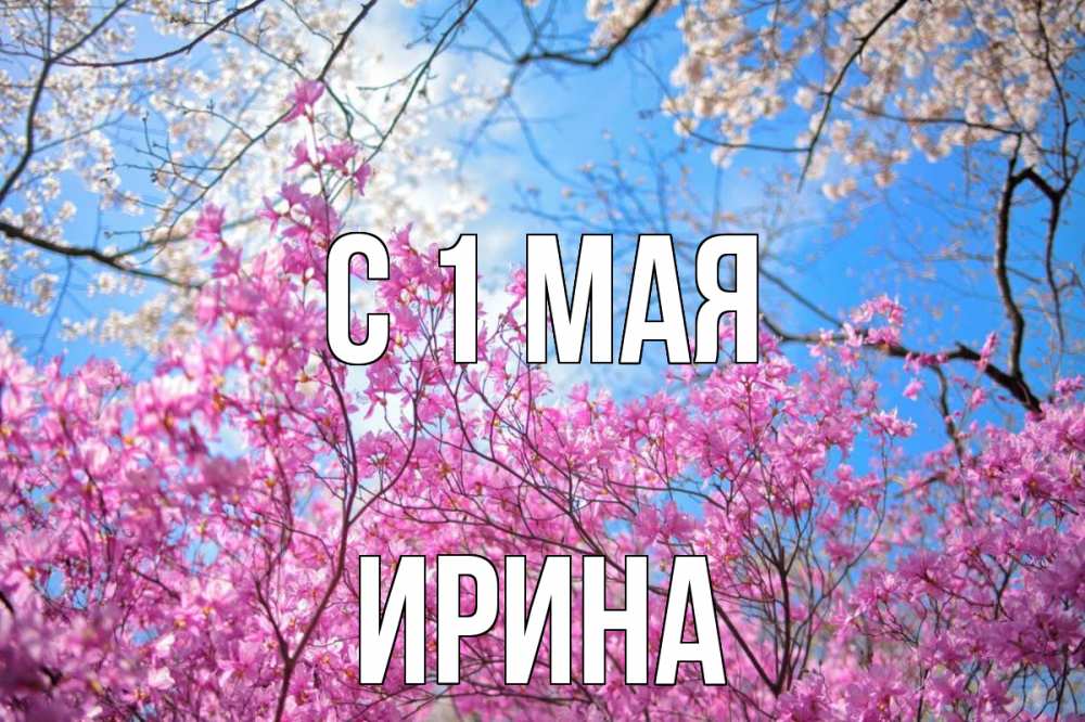 Открытка на каждый день с именем, Ирина С 1 мая С 1 мая Прикольная открытка с пожеланием онлайн скачать бесплатно 