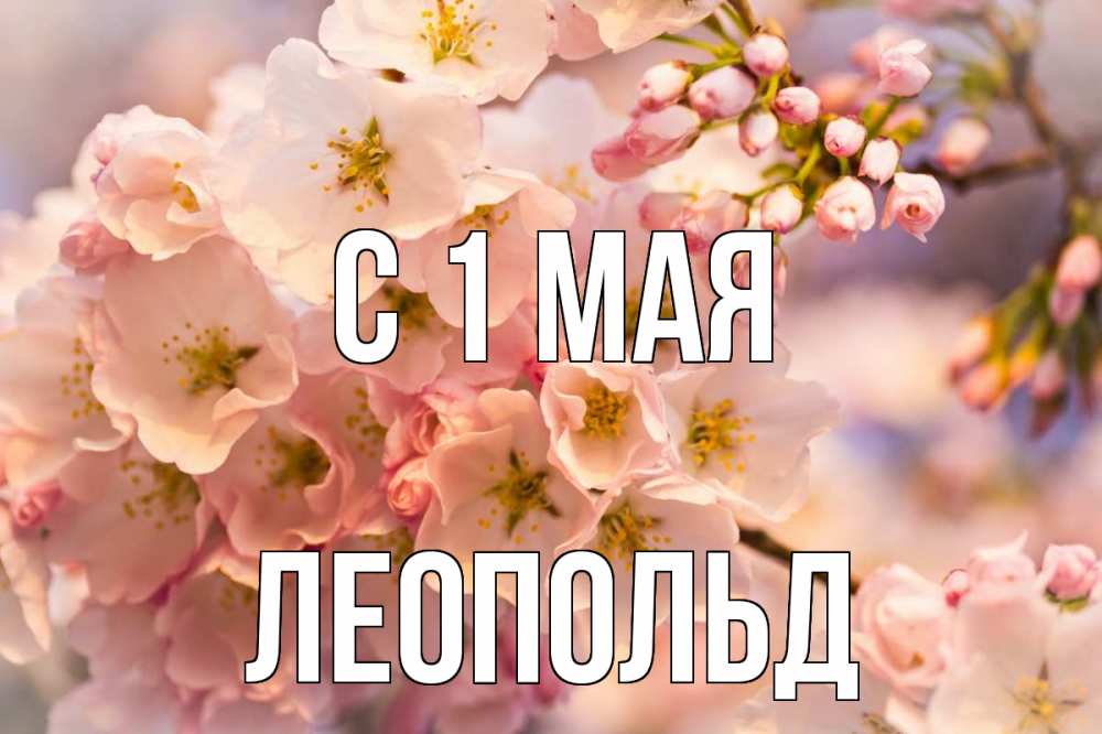 Открытка на каждый день с именем, Леопольд С 1 мая С 1 мая Прикольная открытка с пожеланием онлайн скачать бесплатно 