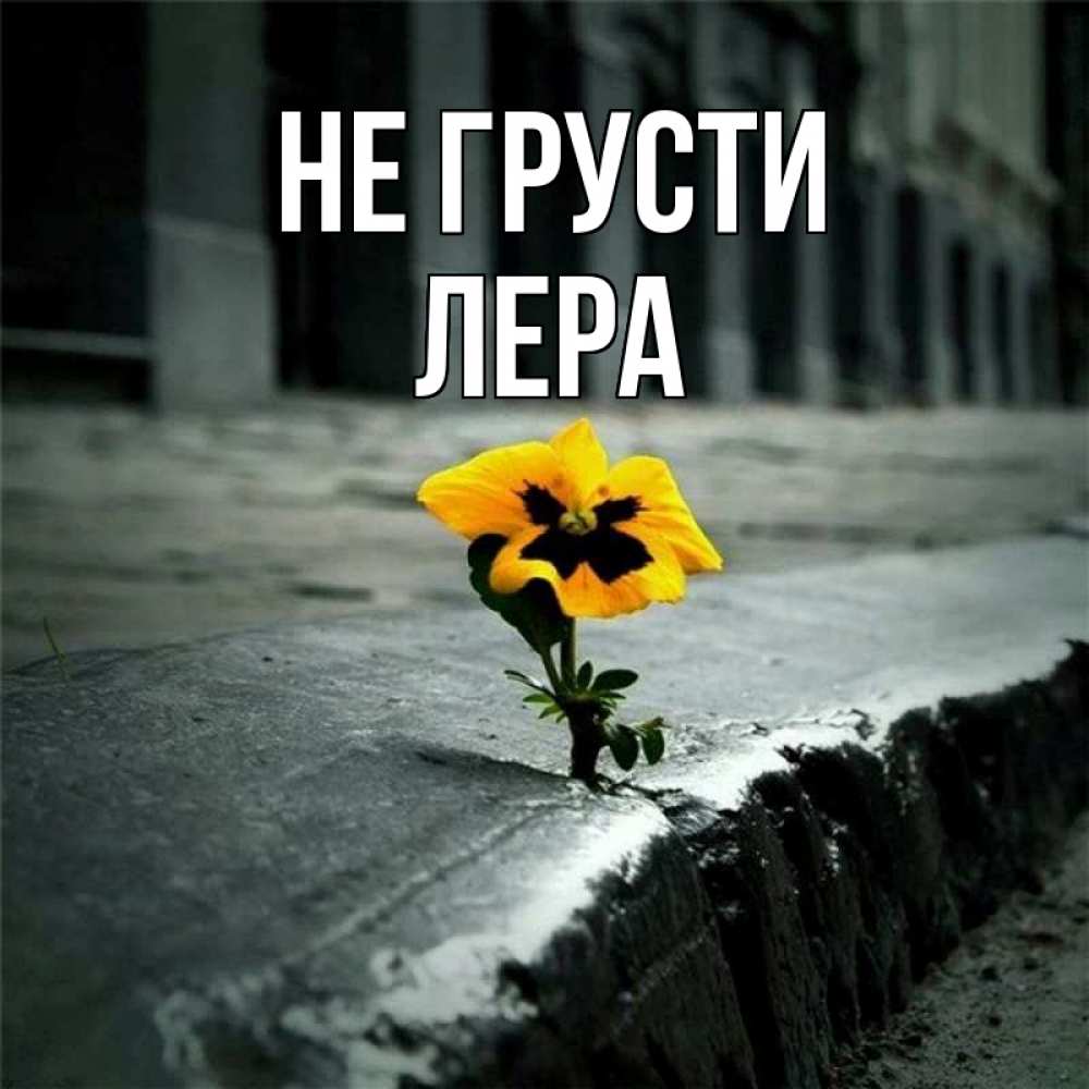 Открытка на каждый день с именем, Лера Не грусти не сдавайся Прикольная открытка с пожеланием онлайн скачать бесплатно 