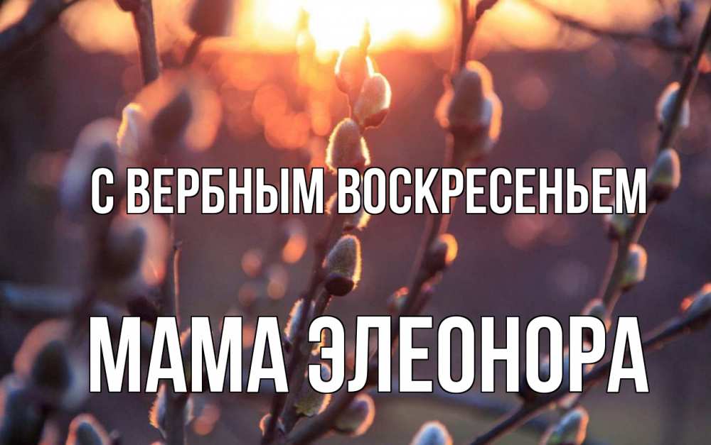 Открытка на каждый день с именем, Мама-Элеонора С вербным воскресеньем верба Прикольная открытка с пожеланием онлайн скачать бесплатно 