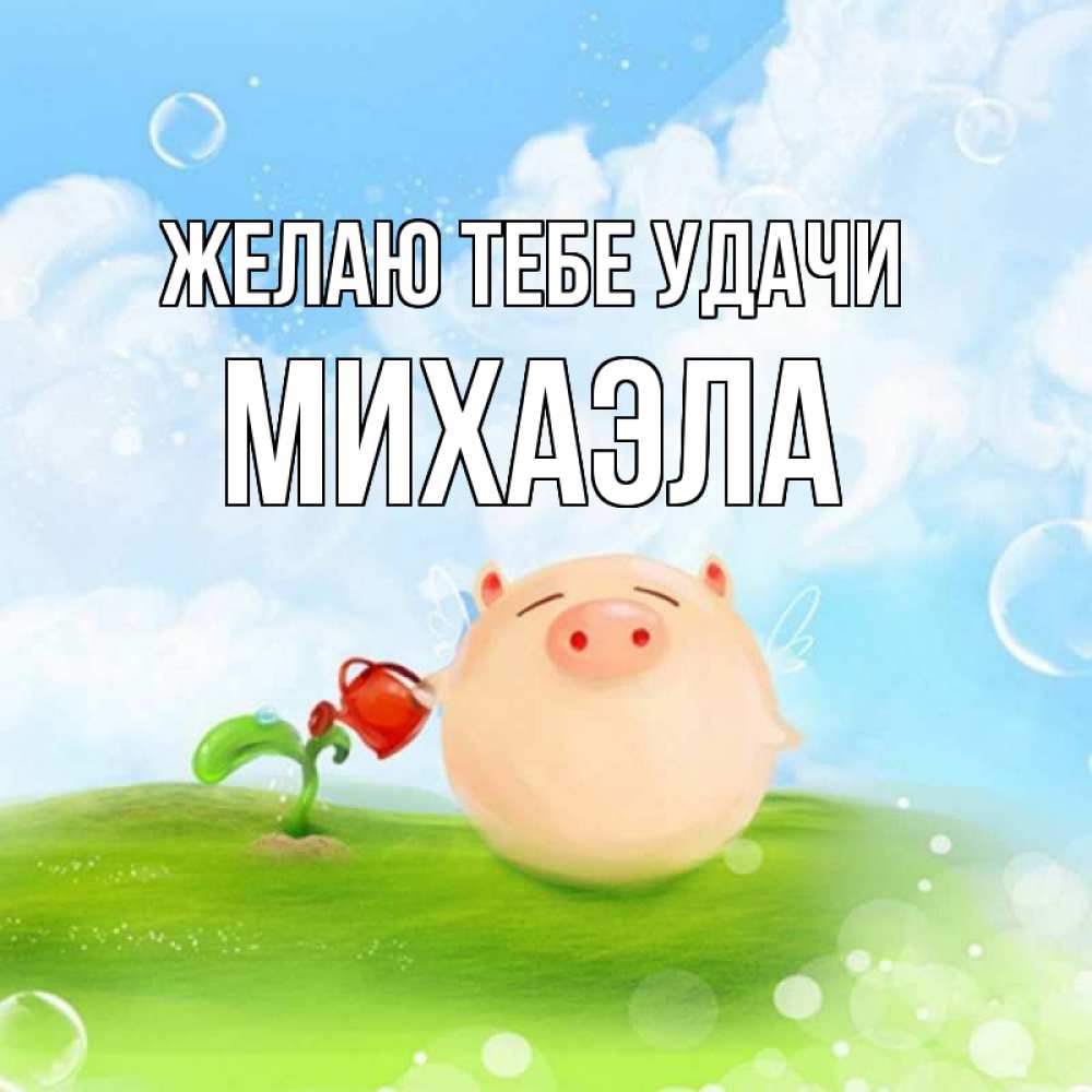Открытка на каждый день с именем, Михаэла Желаю тебе удачи поросенок поливает цветок. летнее настроение Прикольная открытка с пожеланием онлайн скачать бесплатно 