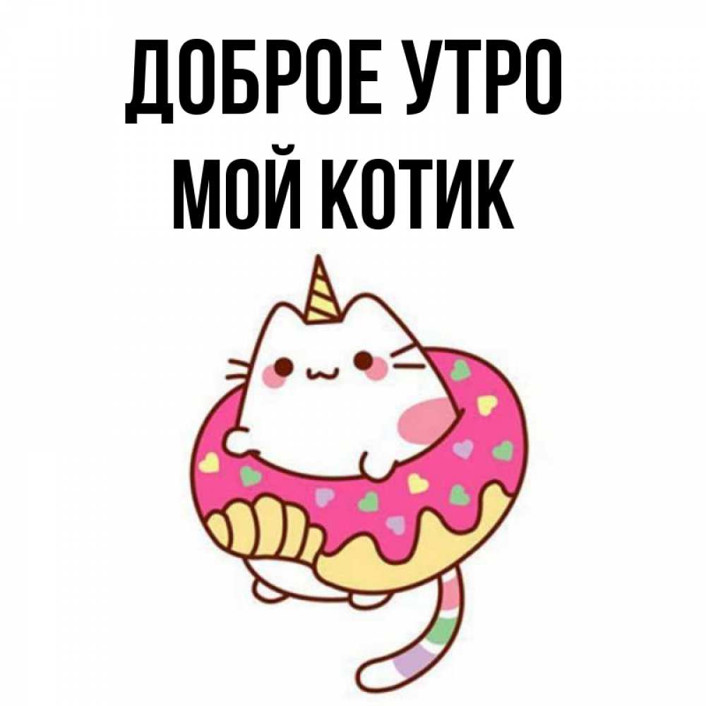 Открытка на каждый день с именем, Мой-Котик Доброе утро кот в бублике Прикольная открытка с пожеланием онлайн скачать бесплатно 