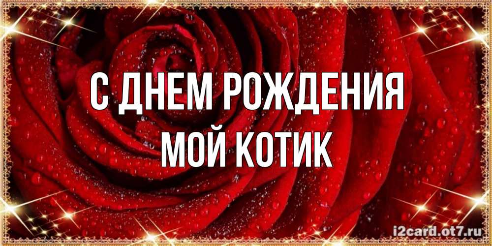 Открытка на каждый день с именем, Мой-Котик С днем рождения роса на розе блестящая в лучах солнца Прикольная открытка с пожеланием онлайн скачать бесплатно 