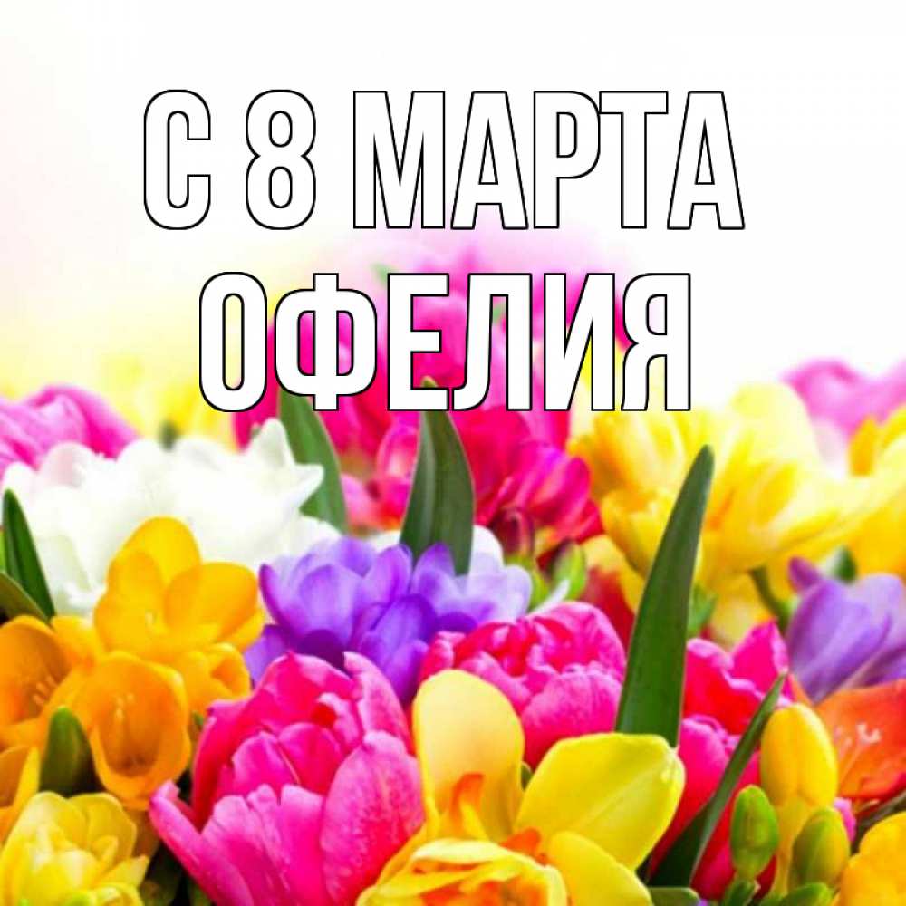 Открытка на каждый день с именем, Офелия С 8 МАРТА тюльпаны Прикольная открытка с пожеланием онлайн скачать бесплатно 