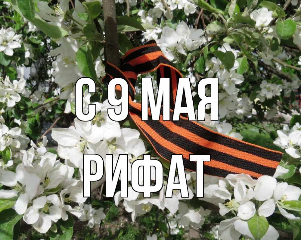 Открытка на каждый день с именем, Рифат С 9 мая 9 мая Прикольная открытка с пожеланием онлайн скачать бесплатно 