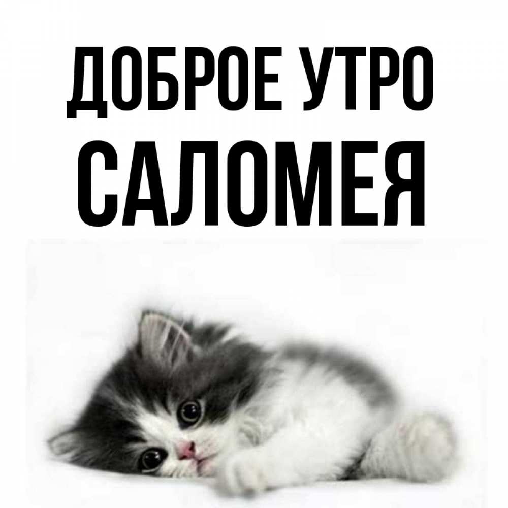 Открытка на каждый день с именем, Саломея Доброе утро кот лапки Прикольная открытка с пожеланием онлайн скачать бесплатно 