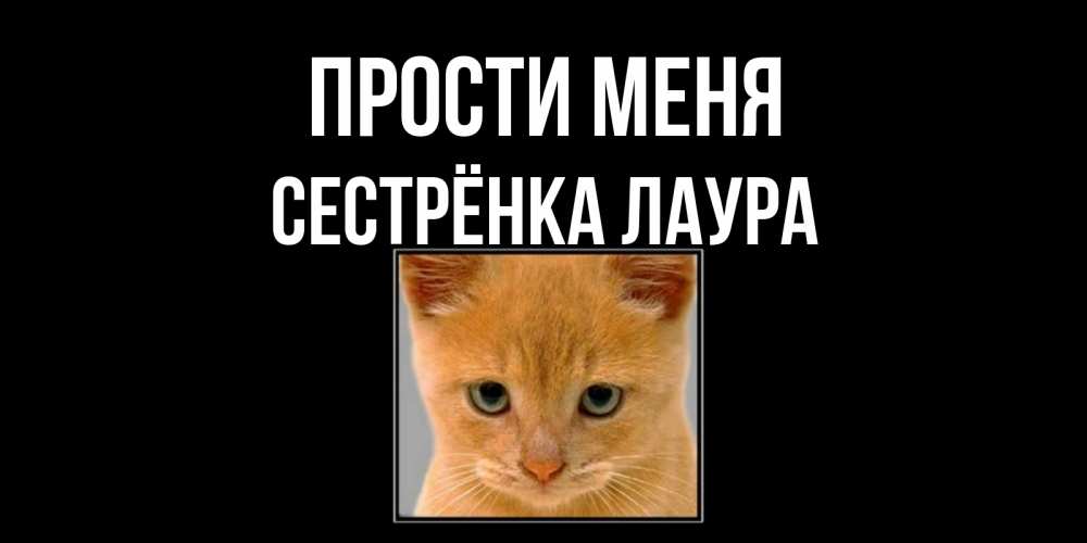 Открытка на каждый день с именем, Сестрёнка-Лаура Прости меня рыжий грустный кот просит прощения Прикольная открытка с пожеланием онлайн скачать бесплатно 