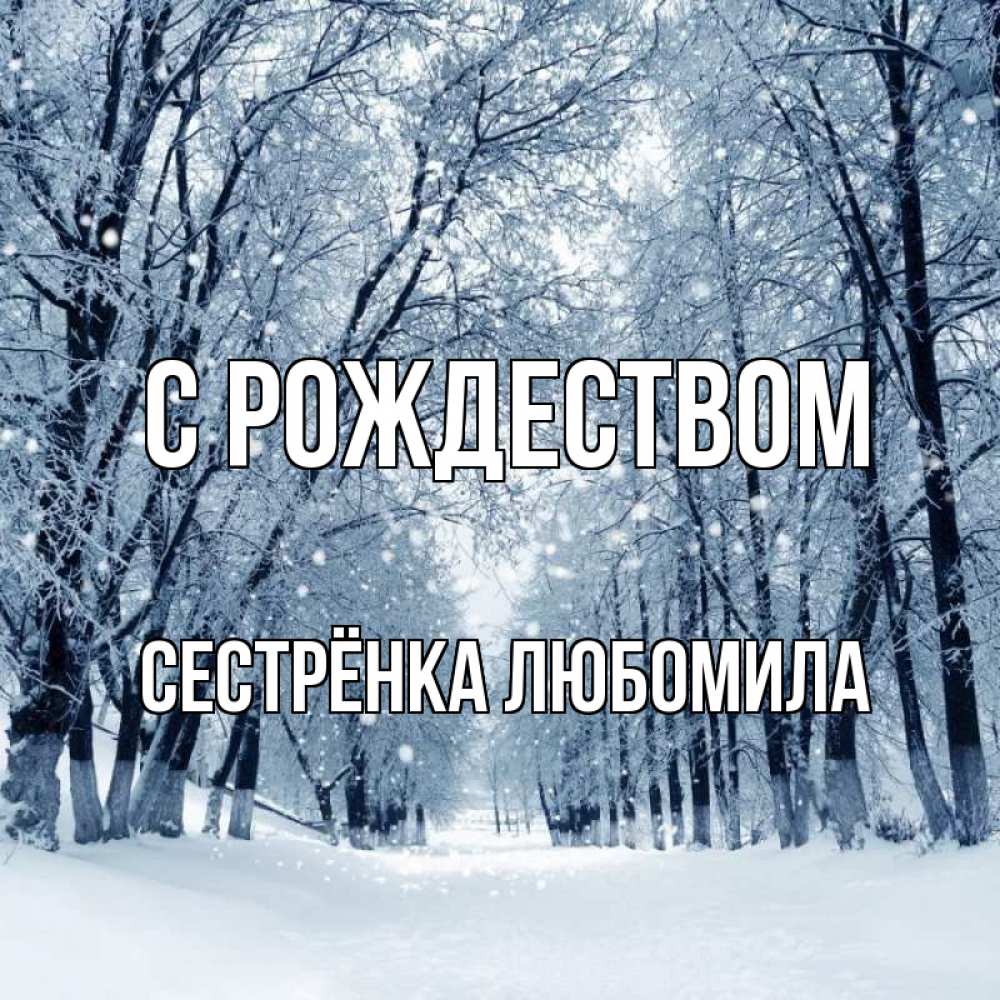 Открытка на каждый день с именем, Сестрёнка-Любомила С рождеством снег, лес, парк Прикольная открытка с пожеланием онлайн скачать бесплатно 