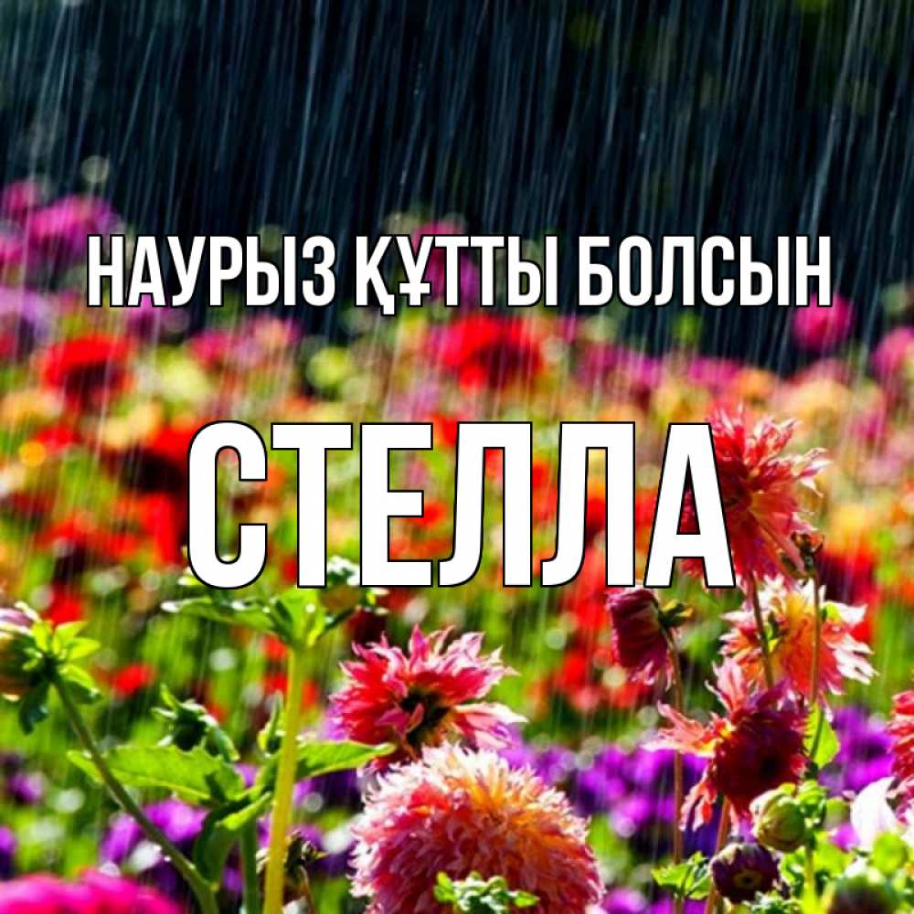 Открытка на каждый день с именем, Стелла Наурыз құтты болсын цветы под дождиком к наурызу Прикольная открытка с пожеланием онлайн скачать бесплатно 